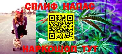 СК Краснознаменск