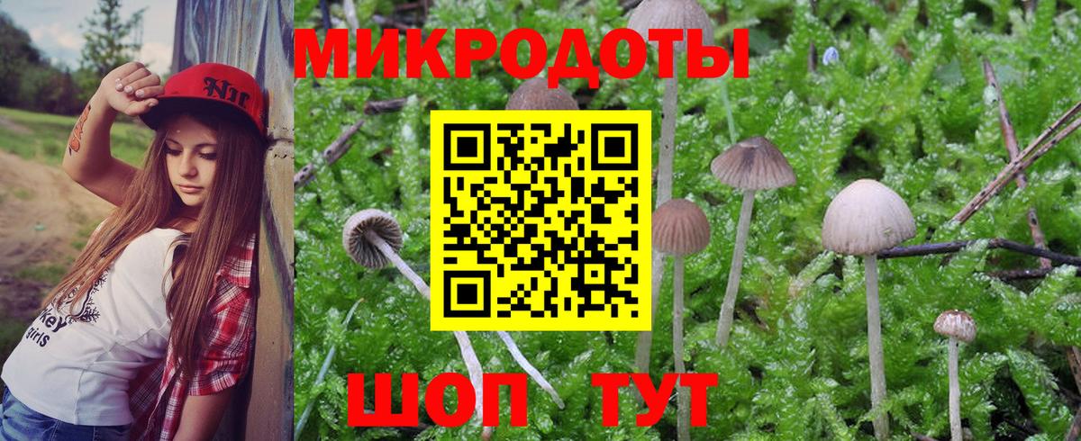 Зеленокумск  наркошоп  Вход с VPN  Псилоцибиновые грибы прущие грибы 